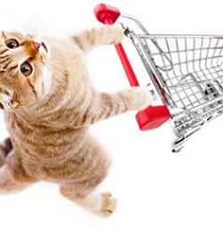  Как выбрать товары для животных в магазине?